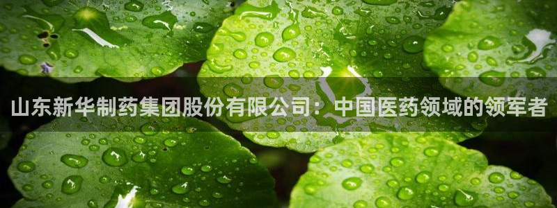 九游老哥俱乐部登录：山东新华制药集团股份有限公司：中国医药领域的领军者