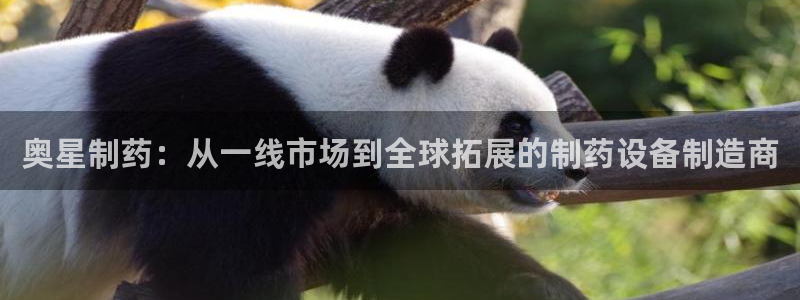 九游会老哥俱乐部官网首页论坛：奥星制药：从一线市场到全球拓展