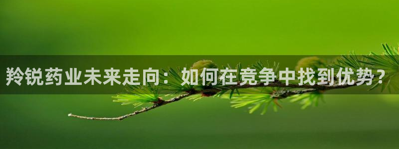 ag九游会老哥：羚锐药业未来走向：如何在竞争中找到优势？