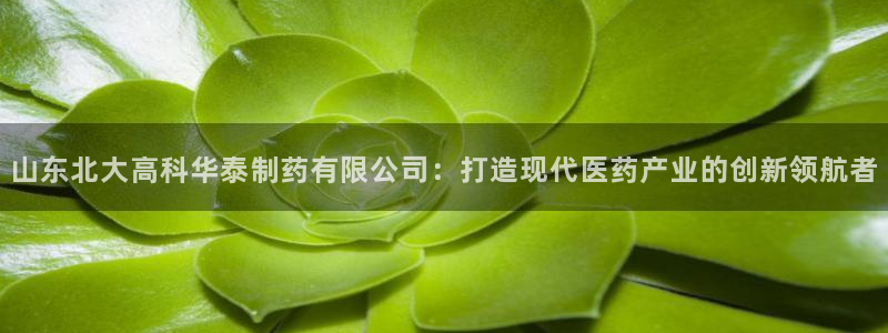 老哥吧九游会下架吗：山东北大高科华泰制药有限公司：打造现代医药产业的创新领航者