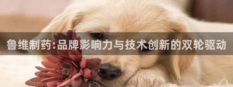 九游会老哥俱乐部官网首页论坛：鲁维制药:品牌影响力与技术创新的双轮驱动