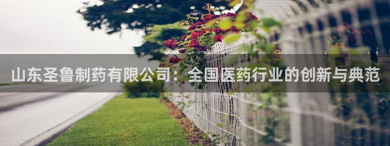 ag九游会老哥：山东圣鲁制药有限公司：全国医药行业的创新与典范