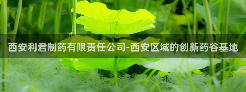九游会老哥俱乐部论坛版：西安利君制药有限责任公司-西安区域的创新药谷基地