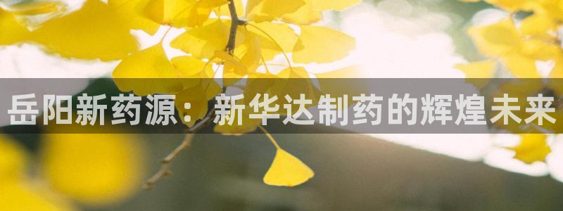 ag九游老哥俱乐部：岳阳新药源：新华达制药的辉煌未来