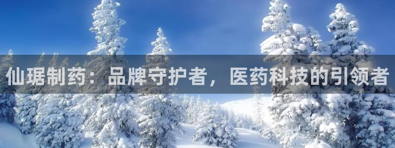 ag九游会老哥俱乐部：仙琚制药：品牌守护者，医药科技的引领者