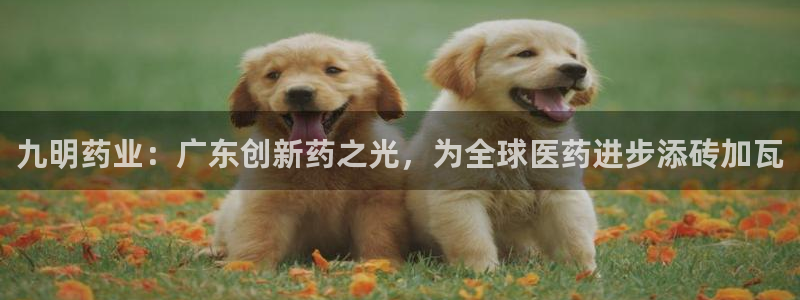 9游会老哥俱乐部：九明药业：广东创新药之光，为全球医药进步添砖加瓦