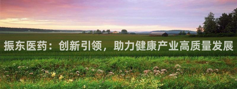 九游会老哥俱乐部官方网站：振东医药：创新引领，助力健康产业高质量发展