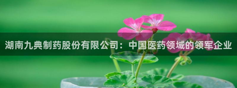 老哥吧九游会：湖南九典制药股份有限公司：中国医药领域的领军企