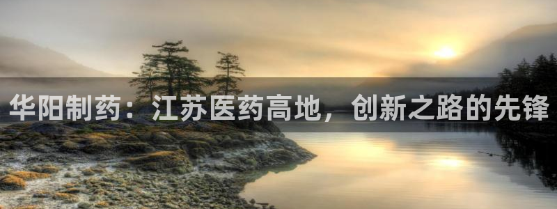 j9九游会老哥俱乐部交流区：华阳制药：江苏医药高地，创新之路的先锋