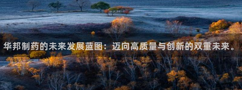 九游会老哥俱乐部交流社区：华邦制药的未来发展蓝图：迈向高质量与创新的双重未来。