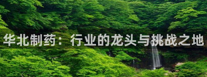 九游老哥俱乐部官网登录：华北制药：行业的龙头与挑战之地
