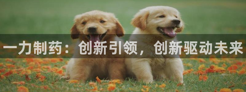 9游会老哥：一力制药：创新引领，创新驱动未来