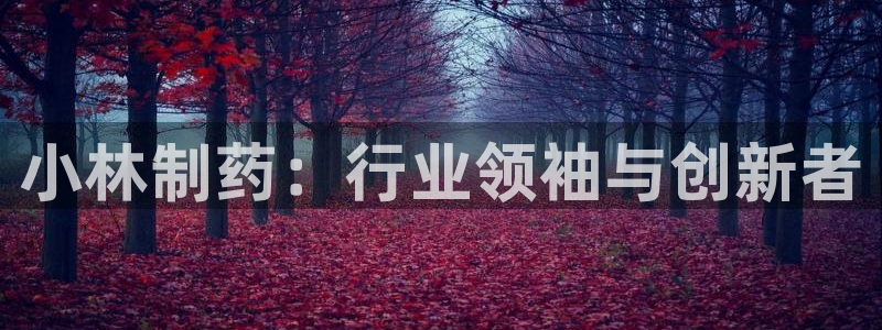 九游会老哥俱乐部官网：小林制药：行业领袖与创新者