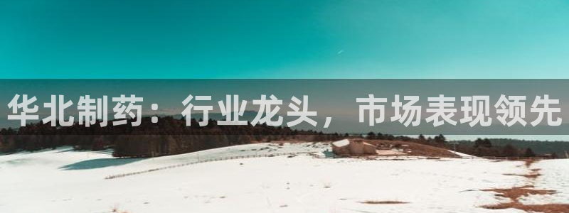 老哥吧九游会：华北制药：行业龙头，市场表现领先