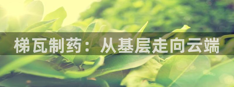 九游会老哥必备的交流社区：梯瓦制药：从基层走向云端