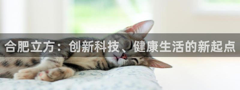 九游会老哥俱乐部官网：合肥立方：创新科技、健康生活的新起点