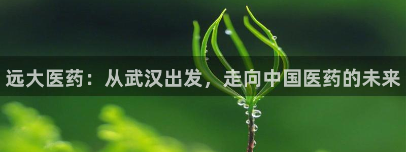 j9九游会老哥俱乐部交流区：远大医药：从武汉出发，走向中国医药的未来