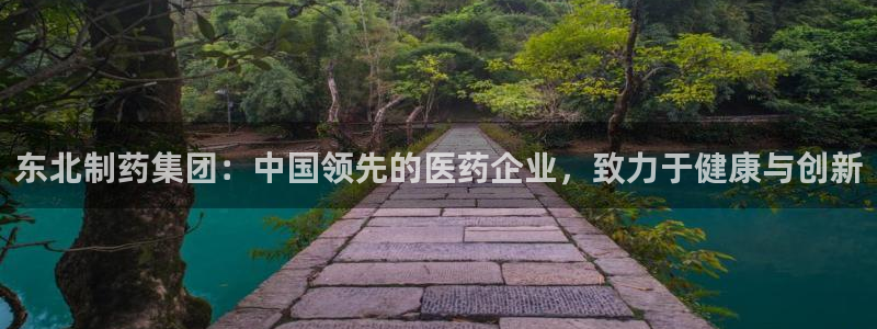 老哥吧九游会：东北制药集团：中国领先的医药企业，致力于健康与创新
