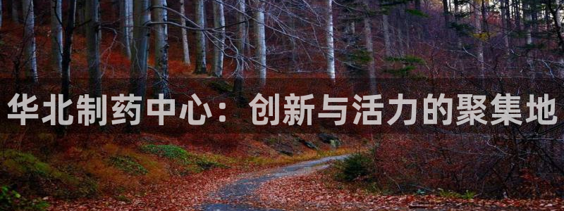 老哥吧九游会：华北制药中心：创新与活力的聚集地