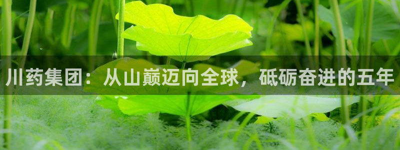老哥俱乐部是干什么的啊：川药集团：从山巅迈向全球，砥砺奋进的五年