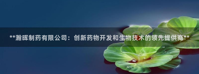 九游会老哥：**瀚晖制药有限公司：创新药物开发和生物技术的领先提供商**