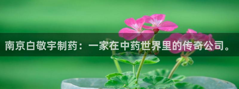 ag九游会老哥：南京白敬宇制药：一家在中药世界里的传奇公司。