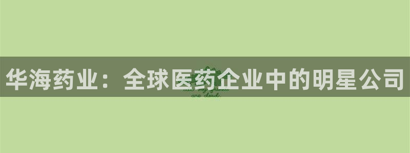 九游会老哥俱乐部官网：华海药业：全球医药企业中的明星公司
