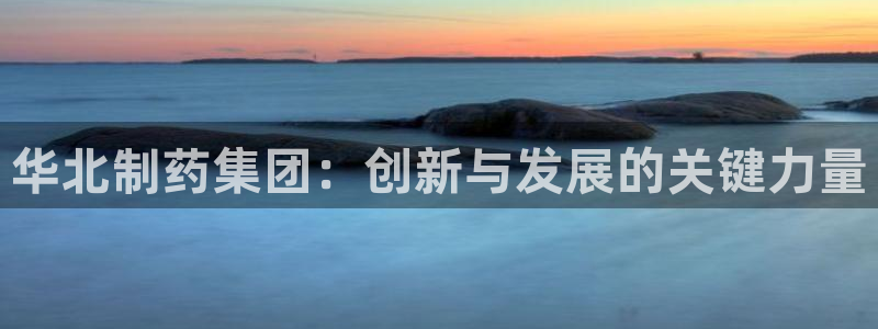 九游会老哥俱乐部官网：华北制药集团：创新与发展的关键力量