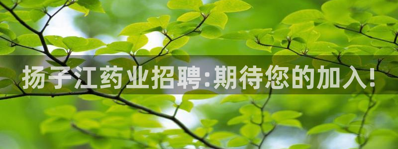 老哥俱乐部是干什么的：扬子江药业招聘:期待您的加入!