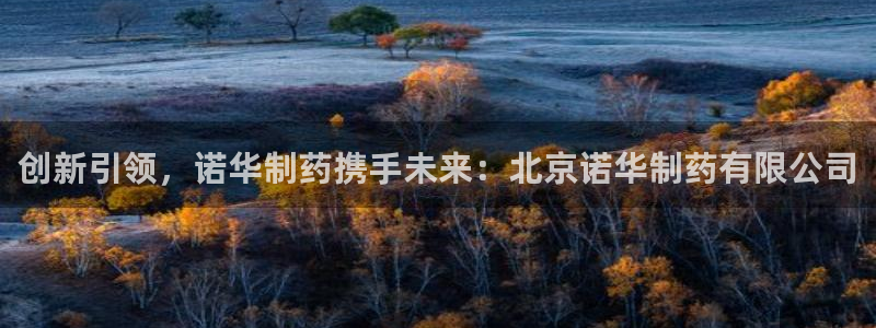 九游会老哥俱乐部社区论坛：创新引领，诺华制药携手未来：北京诺华制药有限公司