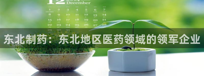 usdt九游会老哥俱乐部：东北制药：东北地区医药领域的领军企业