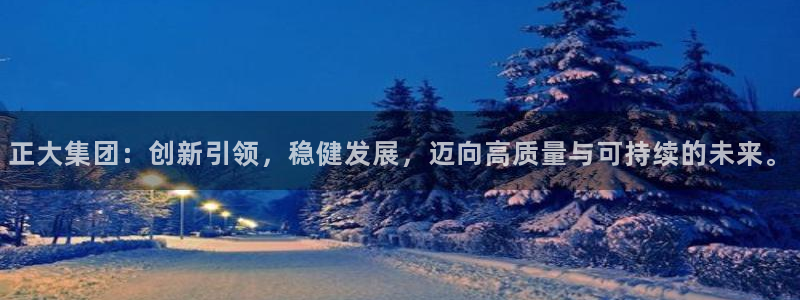 九游会老哥俱乐部：正大集团：创新引领，稳健发展，迈向高质量与可持续的未来。