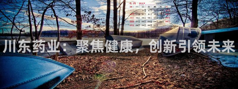 九游会老哥俱乐部论坛版：川东药业：聚焦健康，创新引领未来