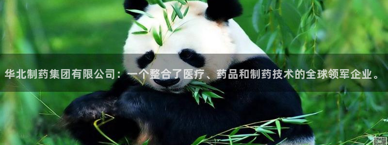 老哥吧九游会：华北制药集团有限公司：一个整合了医疗、药品和制药技术的全球领军企业。