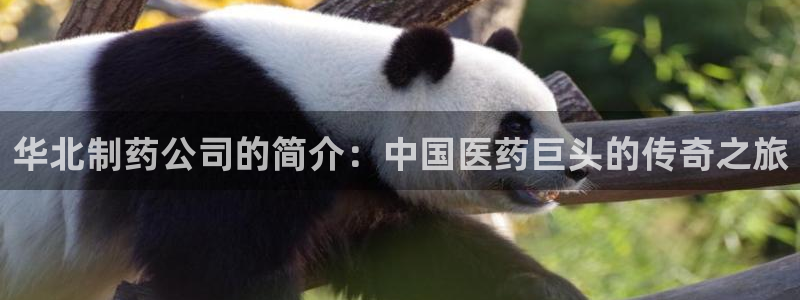 九游会老哥俱乐部论坛版：华北制药公司的简介：中国医药巨头的传